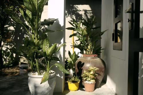 Queen Room with Garden View