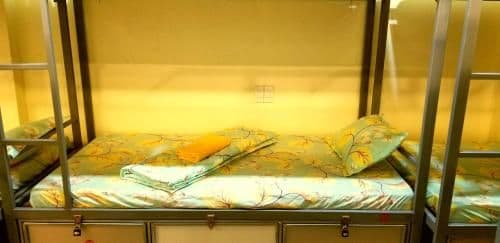 Bunk Bed in Mixed Dormitory Room