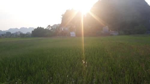 Center Tam Coc Homestay Center Tam Coc Homestay
