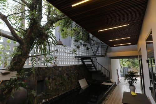 Family Suite with Balcony