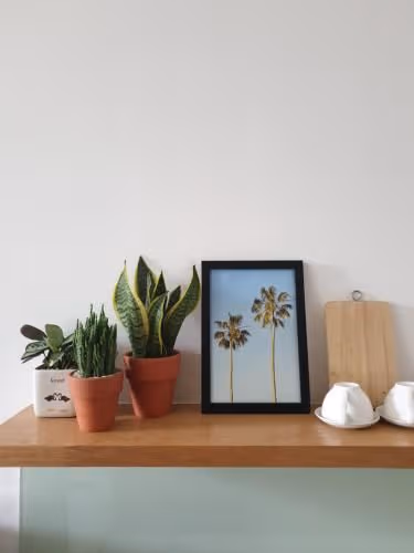 Studio Apartment