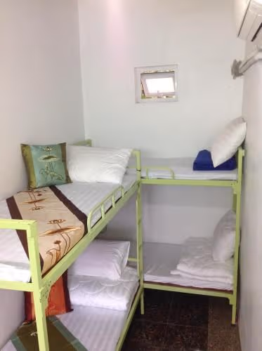 Bunk Bed in Mixed Dormitory Room