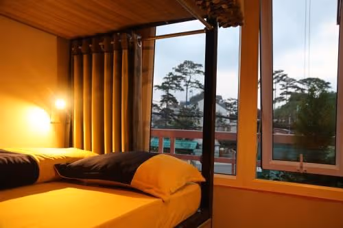 Bunk Bed in Mixed Dormitory Room