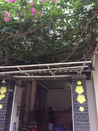 Nhu Y Guesthouse Nhu Y Guesthouse
