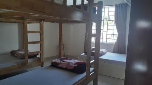 Bunk Bed in Mixed Dormitory Room
