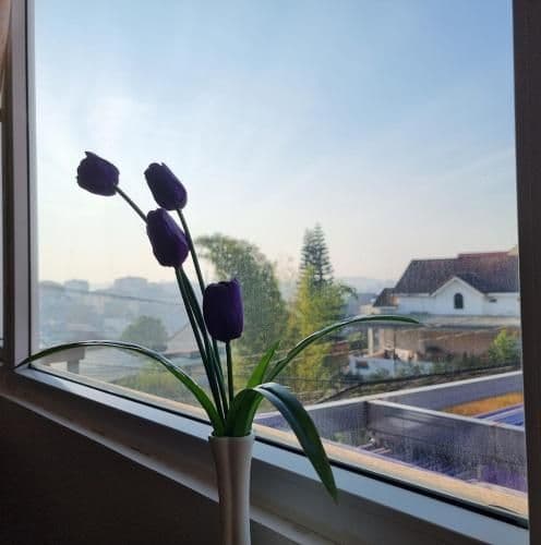 King Room with Mountain View