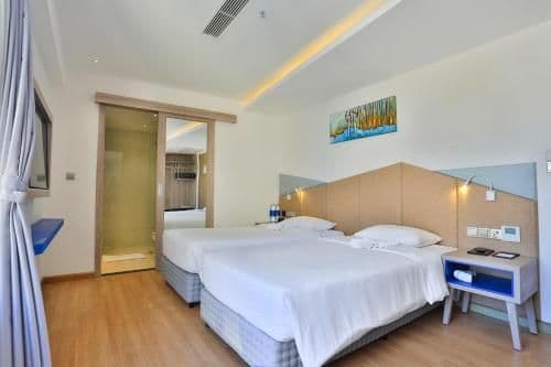 Deluxe Double or Twin Room