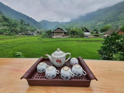 Organic Farm Homestay Organic Farm Homestay