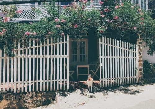 Nha Tim Homestay Nha Tim Homestay