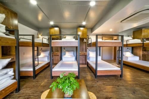 Bunk Bed in Mixed Dormitory Room