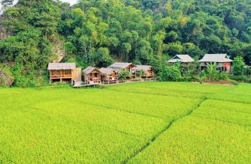 Little Mai Chau Home Stay