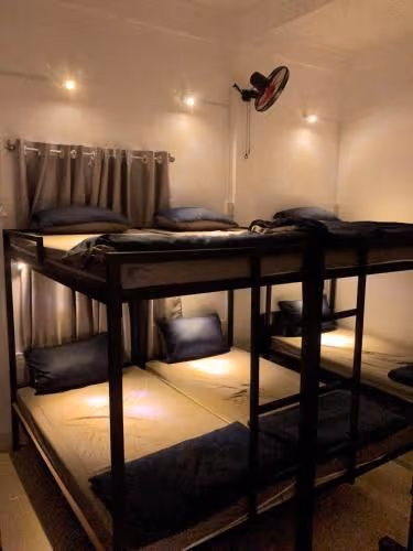 Bunk Bed in Mixed Dormitory Room