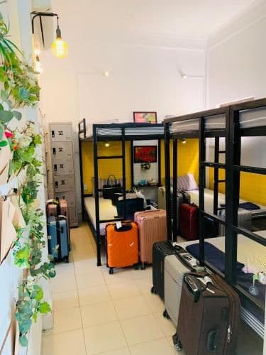8-Bed Mixed Dormitory Room