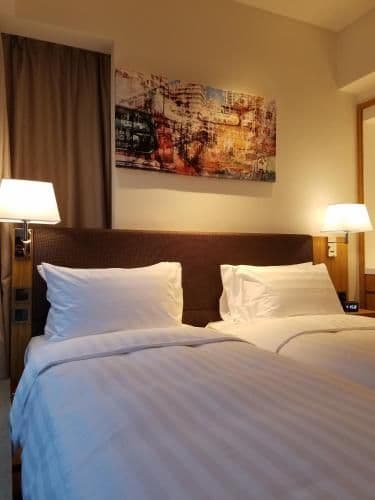 Superior Double or Twin Room with City View