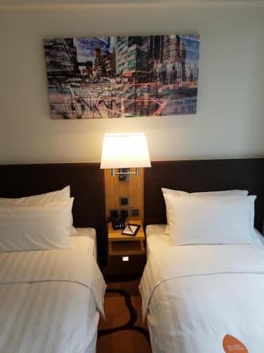 Superior Double or Twin Room with City View