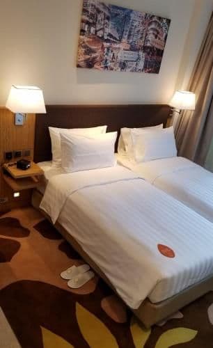 Executive Double or Twin Room with City View