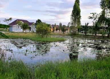 Tantong Resort Chaiyaphum Tantong Resort Chaiyaphum