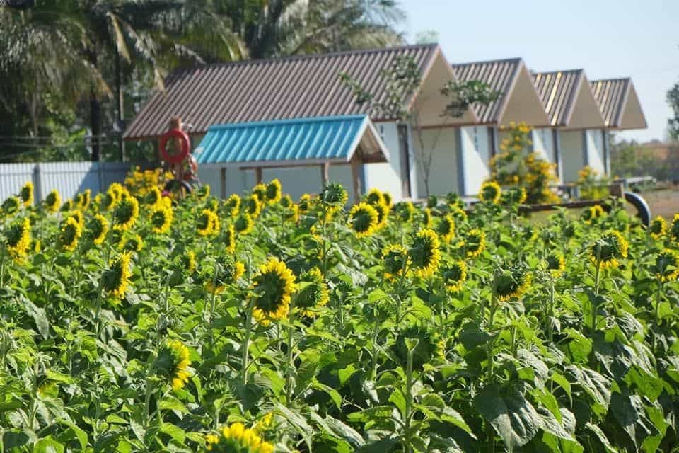Bann Gor Gai Resort Bann Gor Gai Resort