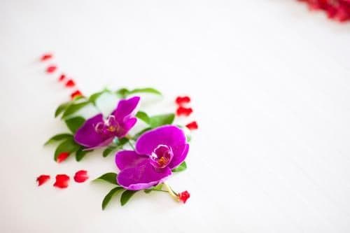 Honeymoon Suite