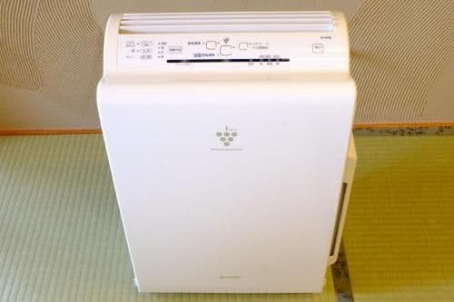 Japanese-Style Room with Open-Air Bath
