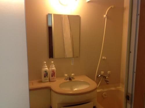 Japanese-Style Superior Room - Non-Smoking