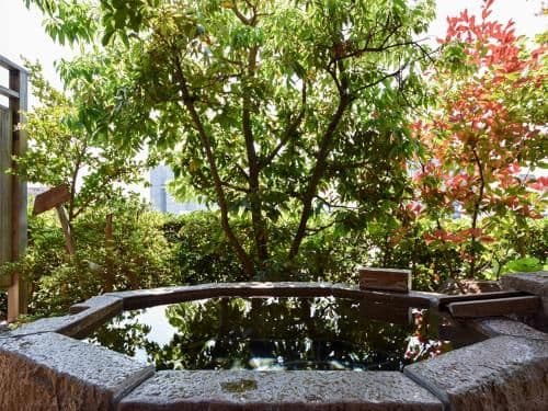 Japanese-Style Superior Room with Open-Air Bath