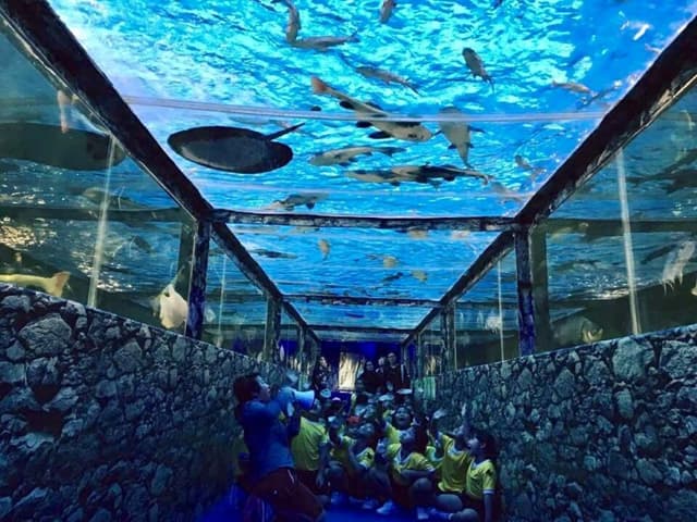 Monster Aquarium Pattaya