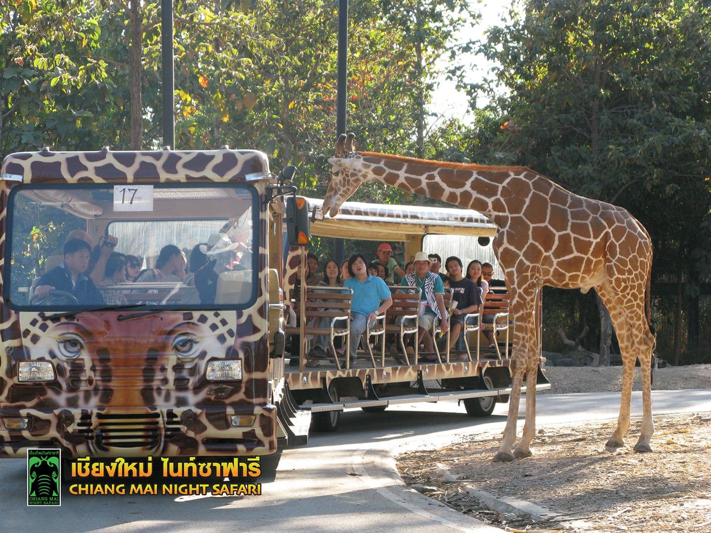 สวนสัตว์เชียงใหม่ ไนท์ ซาฟารี (Chiang Mai Night Safari)