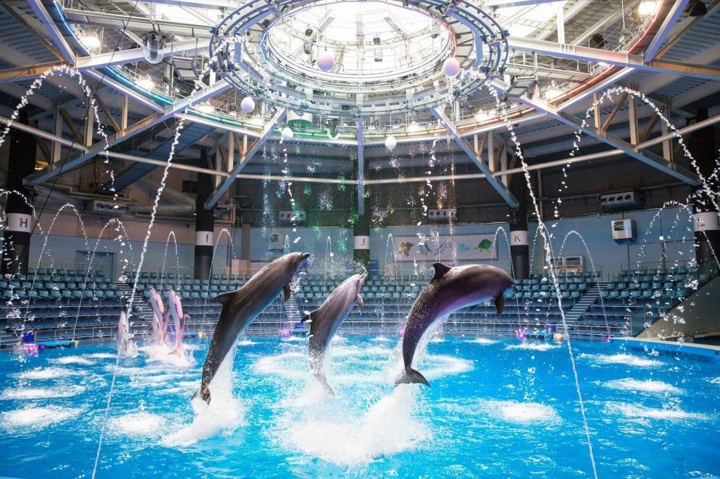 บัตรเข้าชม Maxell Aqua Park Shinagawa 2025