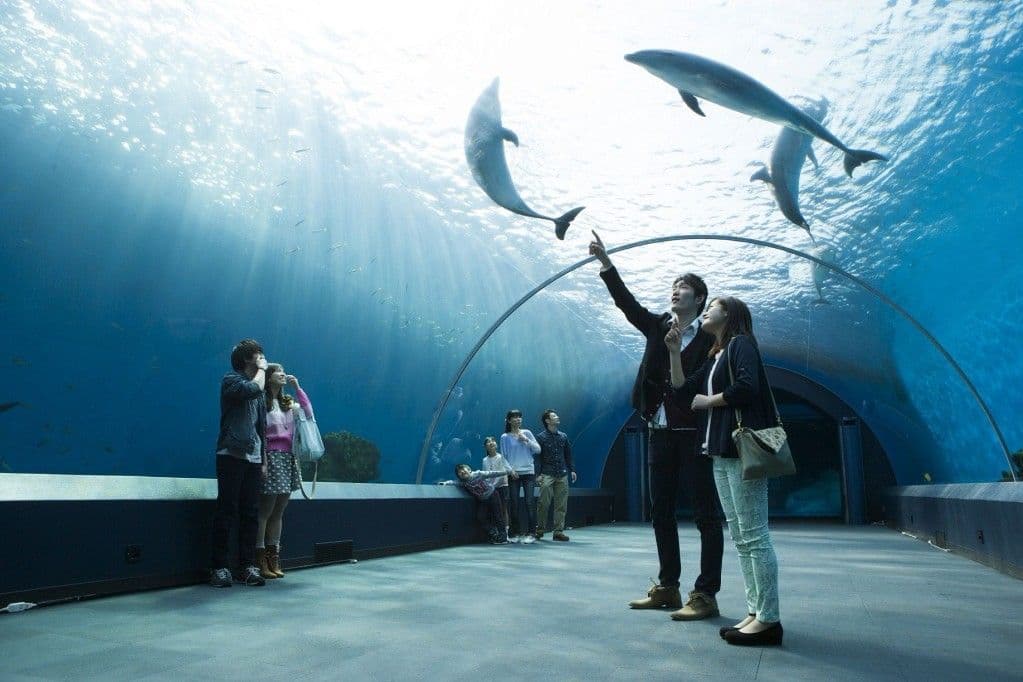 Yokohama Hakkeijima Sea Paradise Ticket