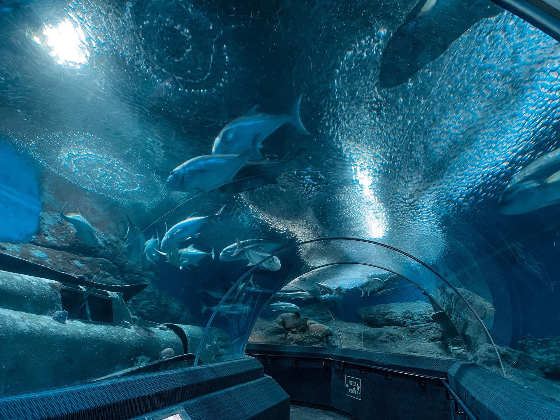 พิพิธภัณฑ์โลกใต้น้ำ พัทยา (Underwater World Pattaya)