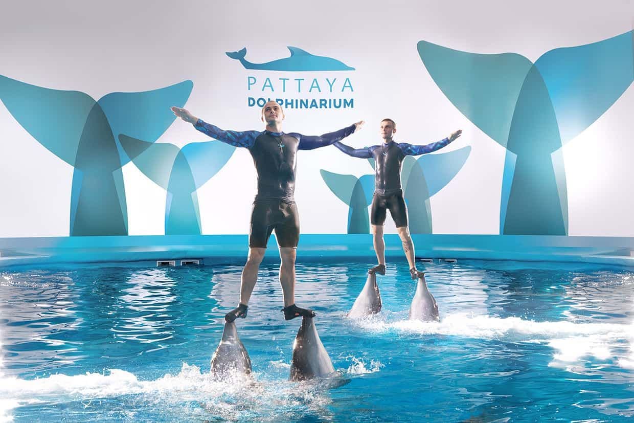 ดอลฟินนาเรียมพัทยา (Pattaya Dolphinarium)