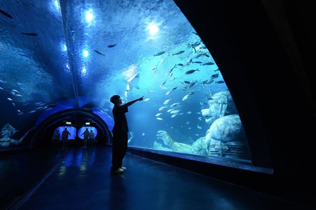 อควาเรีย ภูเก็ต (บัตรสำหรับคนไทย)