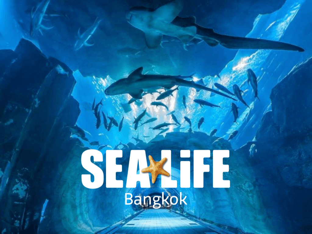บัตรเข้า SEA LIFE Bangkok Ocean World และ Madame Tussauds Bangkok แบบไม่ต้องต่อคิว