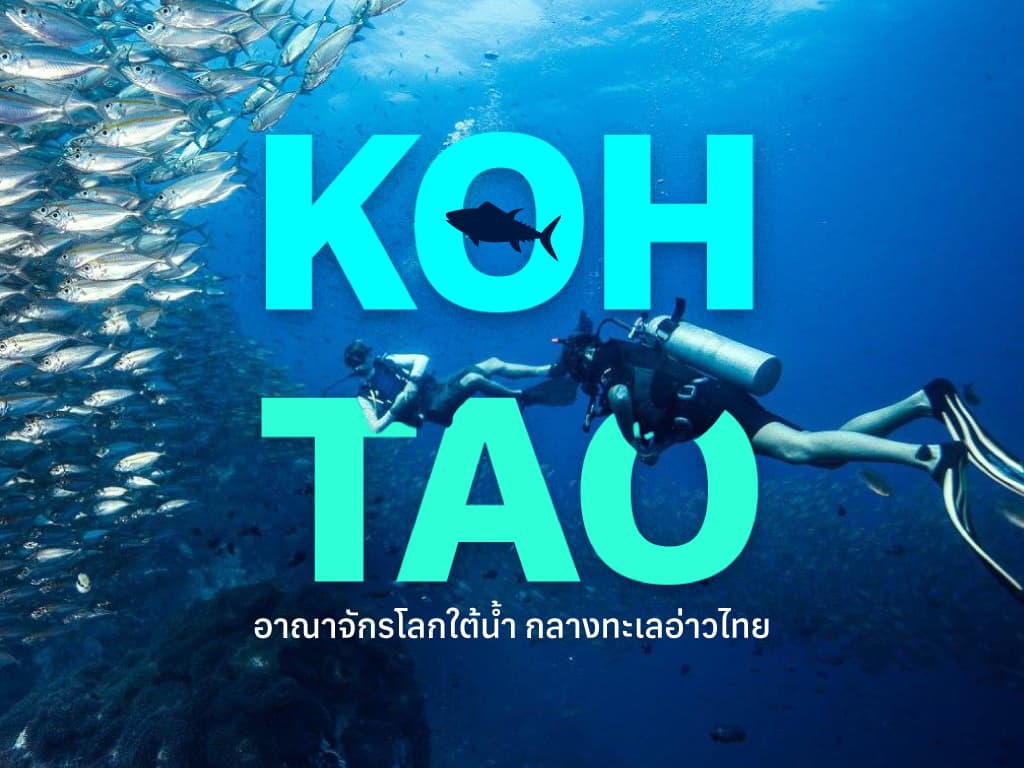 เกาะเต่า อาณาจักรโลกใต้น้ำ กลางทะเลอ่าวไทย