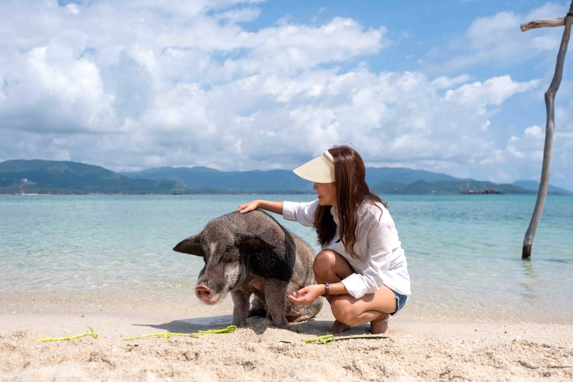 ทัวร์เกาะแตนและเกาะมัดสุม โดยเรือสปีดโบ๊ท จากเกาะสมุย ทริปเที่ยว และเดย์ทริป