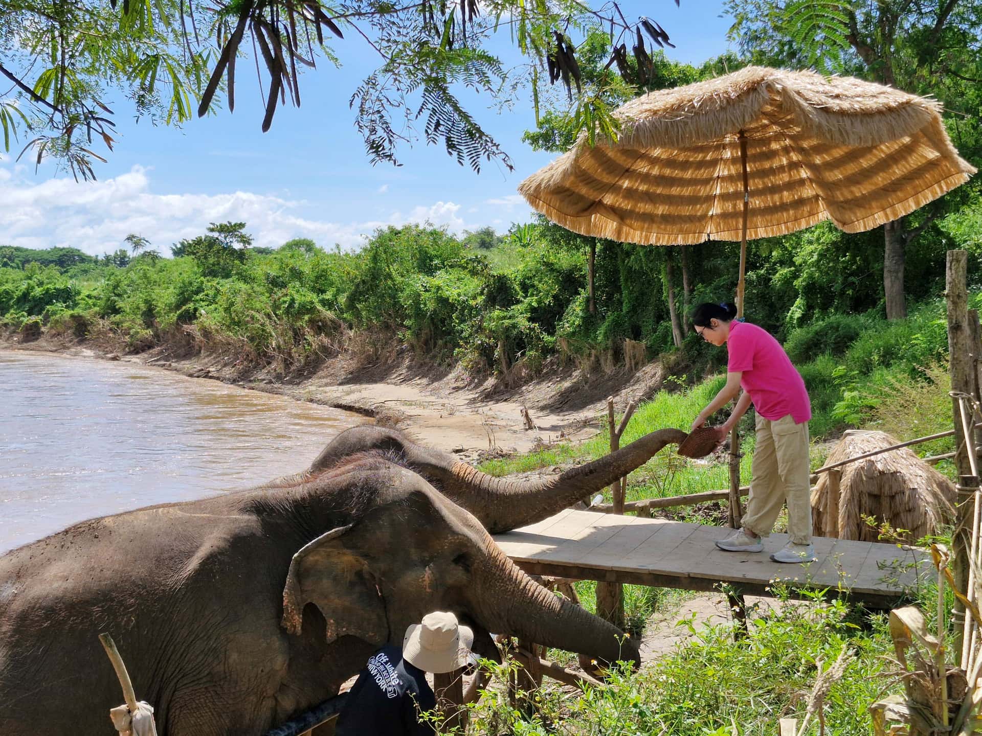 เชียงใหม่: ทริปครึ่งวันชมวิวม่อนแจ่มและแอลลี่ คาเฟ่ ทริปเที่ยว และเดย์ทริป4