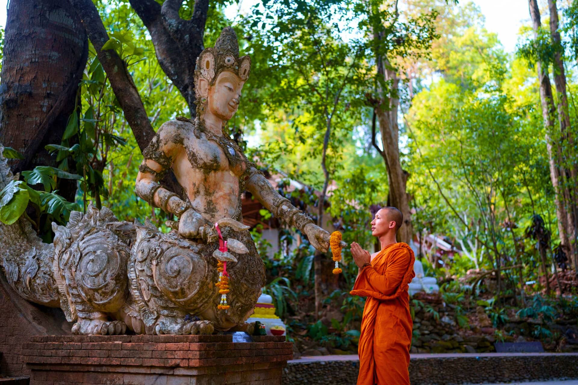 Chiang Mai: Doi Suthep & Wat Pha Lat by Local Red Truck 11:00 am Trips and Day Trips
