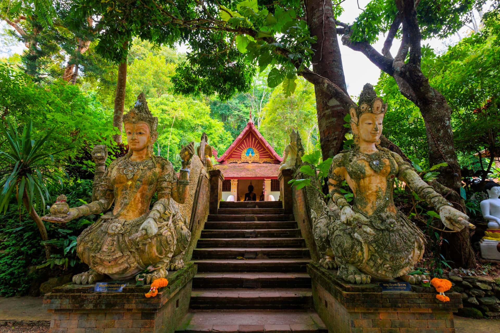 Chiang Mai: Doi Suthep & Wat Pha Lat by Local Red Truck 11:00 am Trips and Day Trips4