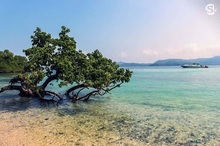 เกาะครามน้อย (ชลบุรี) ทริปเที่ยว และเดย์ทริป1