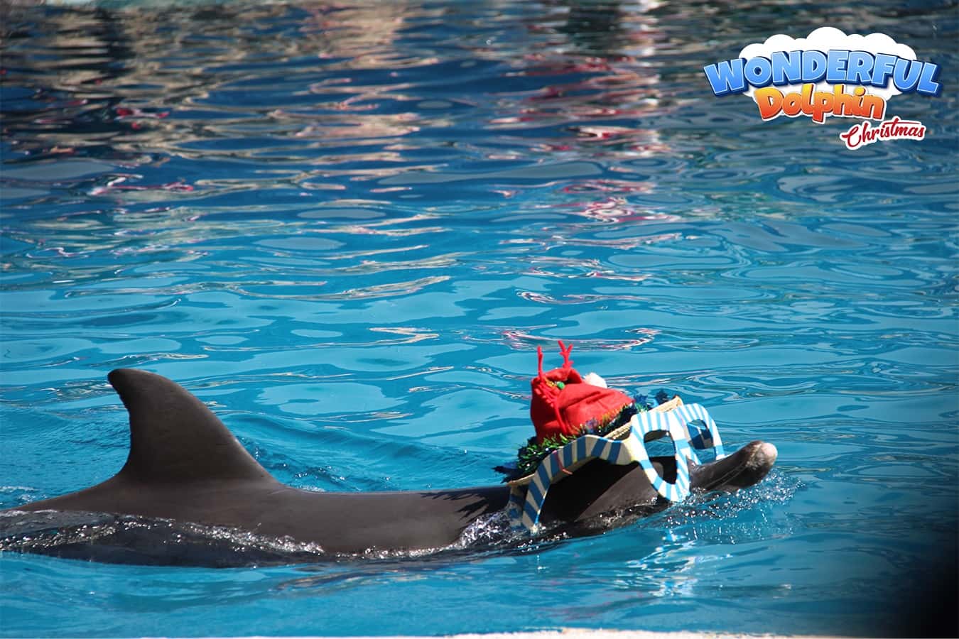 Safari World Bangkok สำหรับคนไทย (Thai Resident)4