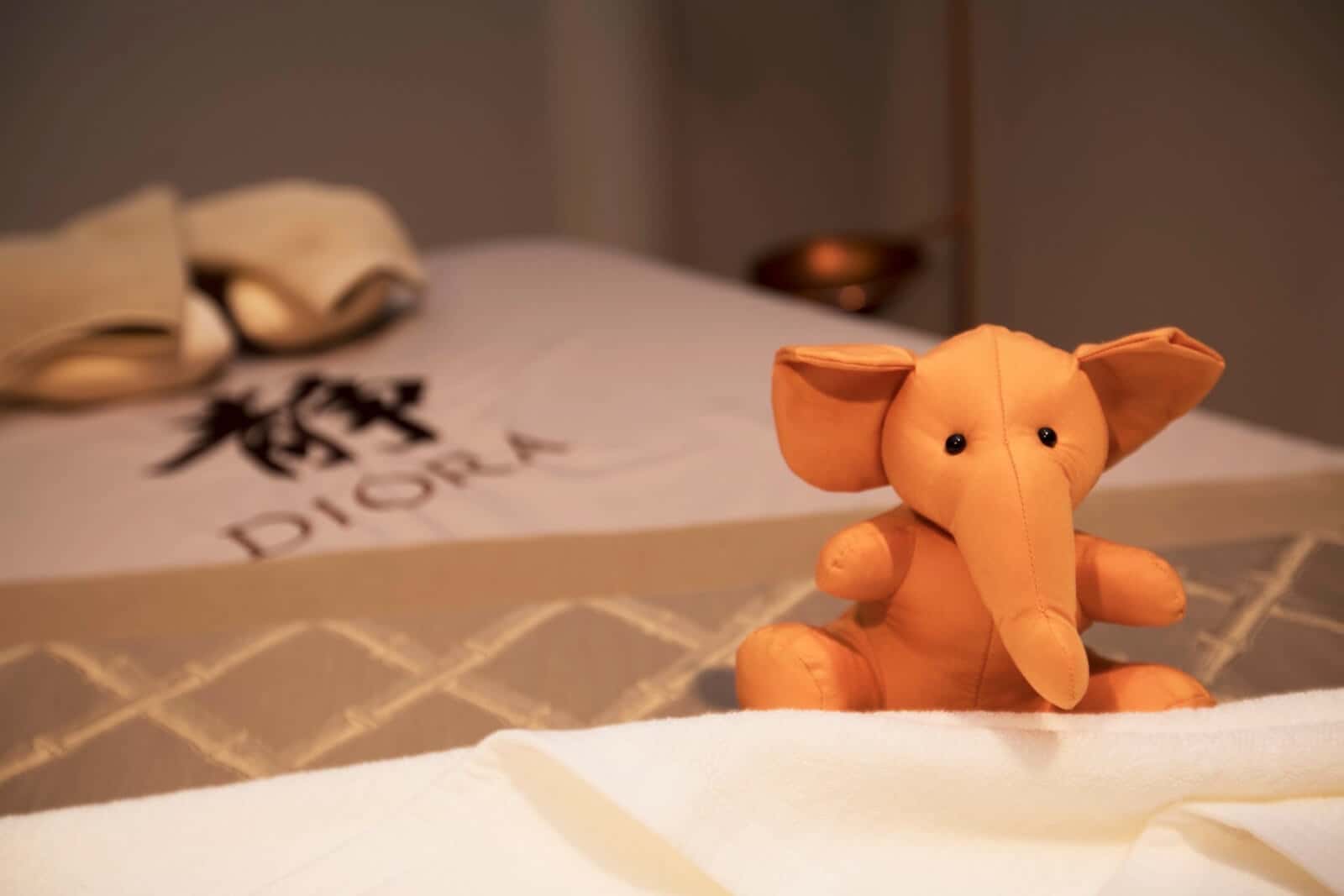 DIORA Luxe Lumpini Spa1