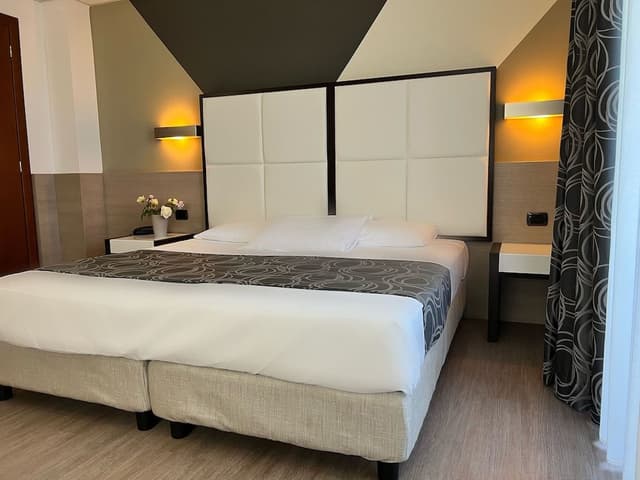 Business Double Room Single Use