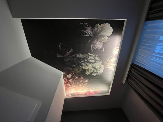 Basic Single Room