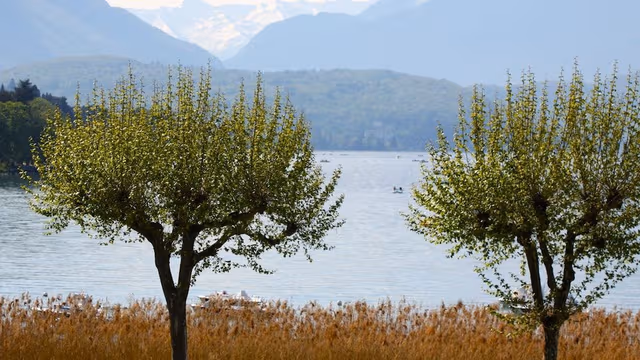 Standard Double Room, Lake View (Bâtiment principal )