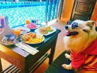119 Baan Noppadol Hua Hin Loft 119 Baan Noppadol Hua Hin Loft