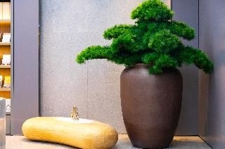 Ji Hotel (Sniec, Shanghai West Gaoke Road)2
