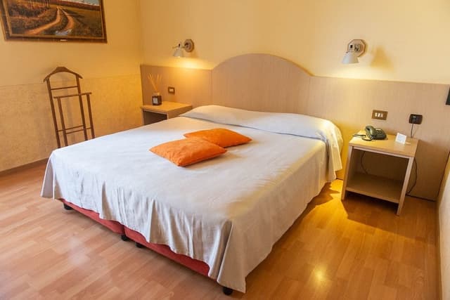 Double Room Single Use