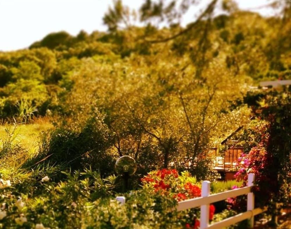 Hotel Etrusco0