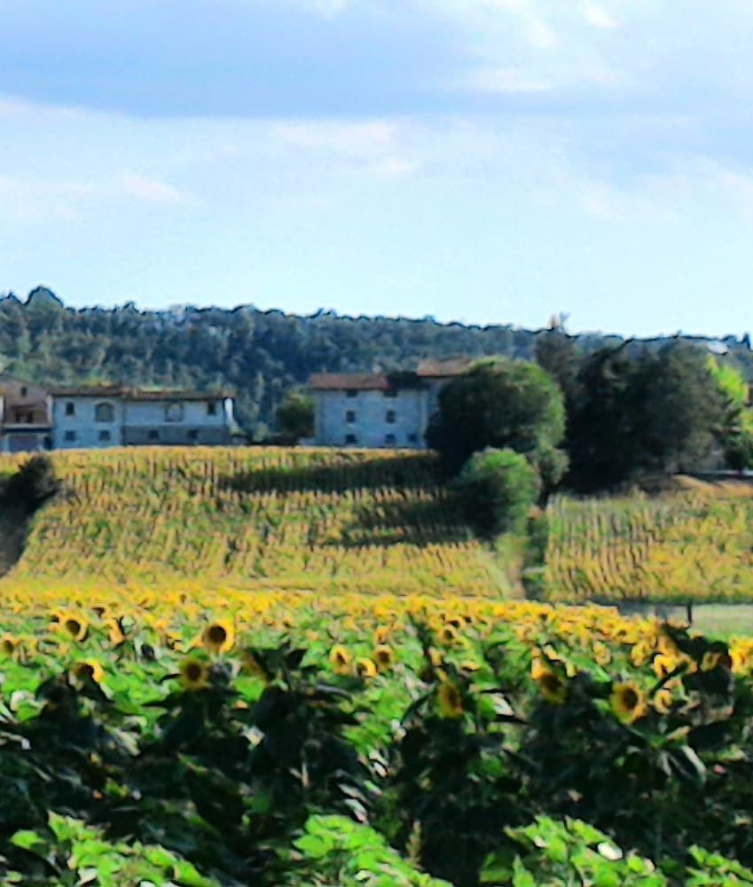 Agriturismo Podere Casenove3